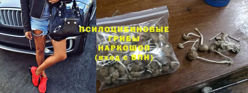 Галлюциногенные грибы Magic Shrooms  Костомукша 